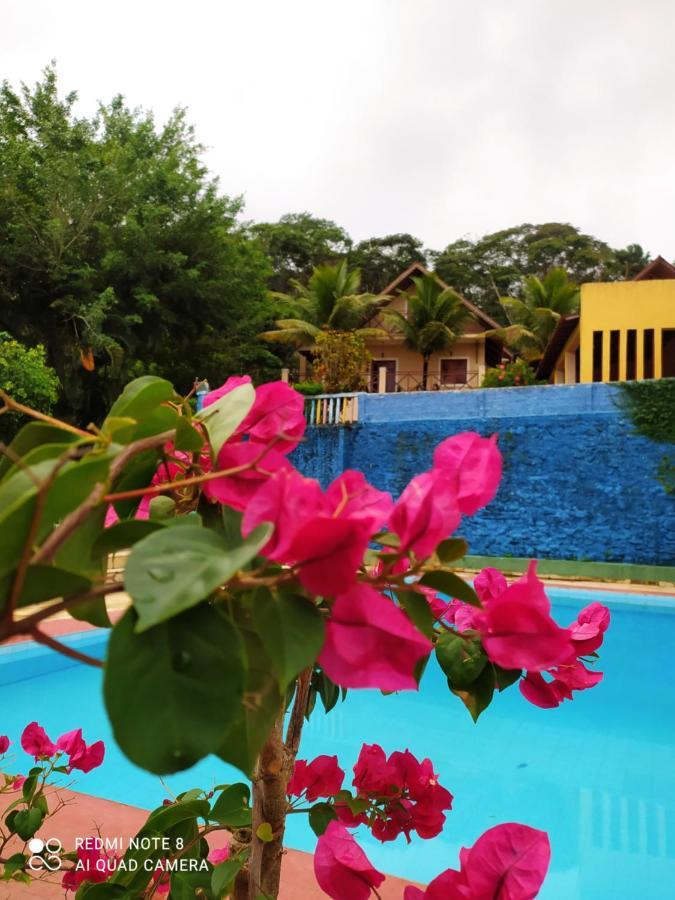 Guaramiranga-Ce Chale Do Rei Exterior photo